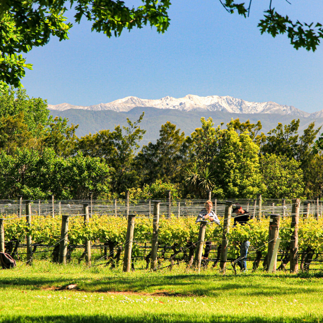 Martinborough - Wairarapa Bundle