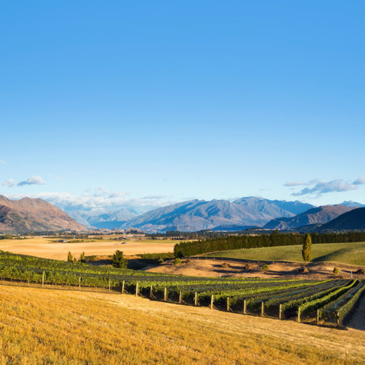 New Zealand Wine Tasting and Dinner - featuring Akitu Wine and Butterworth Estate