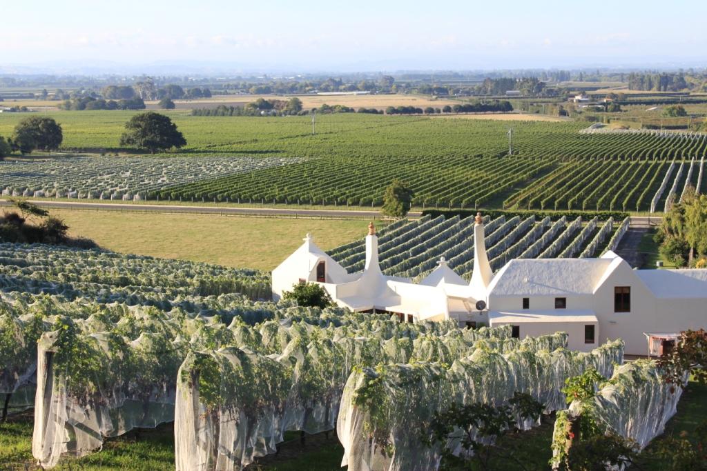 Te Mata Estate