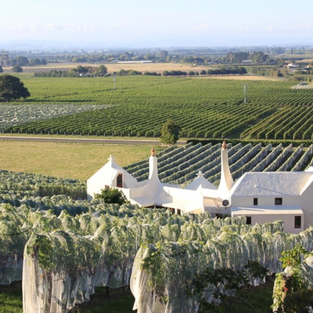 Te Mata Estate in Geneva, 8 November - A Tasting With New Zealand's Original Fine Wine Estate